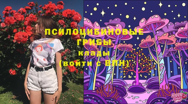 молекула духа Армянск