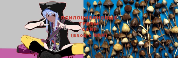 молекула духа Армянск